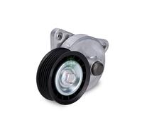 Fits INA 534 0130 20 Tensioner Lever, V-Ribbed Belt