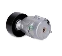 Aux Belt Tensioner 534013530 INA Drive V-Ribbed 9146249 Top Quality Guaranteed