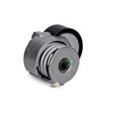 INA 534 0141 30 Tensioner Lever, v-ribbed belt