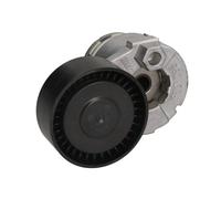 Aux Belt Tensioner 534014130 INA Drive V-Ribbed 1195500QAG 11955BN701 11955BN703