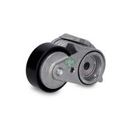 INA 534 0273 10 Tensioner Lever, v-ribbed belt