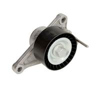 Fits INA 534 0281 10 Tensioner Lever, V-ribbed belt DE stock