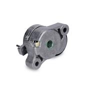 Fits INA 534 0396 10 BELT TENSIONER ALONG THE ⭐UK Stock⭐