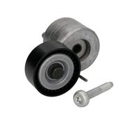 Fits INA 534 0607 10 Tensioner Lever, V-ribbed belt DE stock