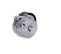 INA 534061010 Tensioner Lever