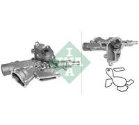 Fits INA 538 0081 10 WATER PUMP DE Stock