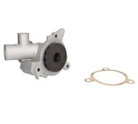 Fits INA 538 0160 10 Water pump DE stock