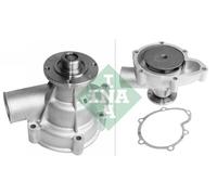 Fits INA 538 0179 10 Water pump DE stock