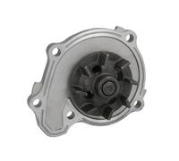 Fits INA 538 0523 10 Water pump DE stock
