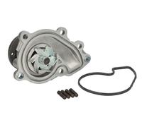 Water Pump 538069610 INA Coolant 2510004010 2510004011 Top Quality Guaranteed