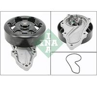 Fits INA 538 0803 10 Water Pump DE Stock