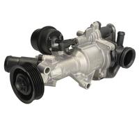 ✅Fits INA 538 0890 10 Water pump 538 0890 10 Water pump, with gasket ⭐UK Seller⭐