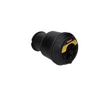 Fits KAMOKA 2079024 AIR SPRING SUSPENSION REAR LEFT/RIGHT