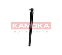 REAR AXLE SHOCK ABSORBER 2000774