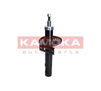 FRONT AXLE SHOCK ABSORBER 2001047