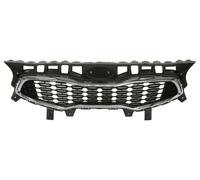 PRASCO KI4362011 Radiator Grille