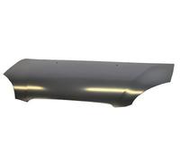 Kia Picanto 08-11 Bonnet