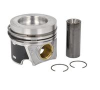 Fits KOLBENSCHMIDT 41 661 620 Piston 41 661 620 Piston 81,51 (+0,50) fits: AUDI