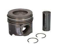 Piston Fits Citroën C5 Fiat Lancia Land Rover Mitsubishi KOLBENSCHMIDT 41703600