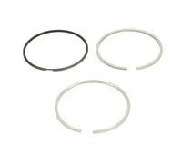 Fits KOLBENSCHMIDT 800101710000 Piston Ring Kit 800101710000 Piston rings (130m