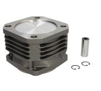 Fits KOLBENSCHMIDT 94 919 960 Repair Kit, piston/cylinder liner 94 91 ⭐UK Stock⭐