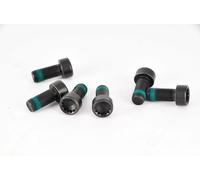 LuK 411013310 Flywheel Screw Set Fits Audi Chrysler Dodge Ford Jeep Man Seat