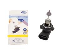 Light bulb H10 002550100000 MAGNETI MARELLI