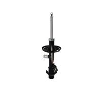 Shock absorber MAGNUM TECHNOLOGY AG1093MT