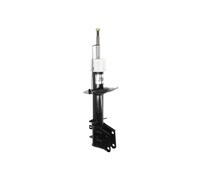 Shock absorber MAGNUM TECHNOLOGY AGF100MT