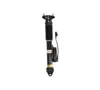 Magnum Technology APM006MT Shock absorber