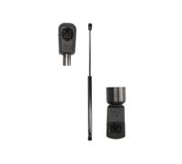 Fits MAGNUM TECHNOLOGY MGS0155MT Gas Spring, boot/cargo area MGS0155M ⭐UK Stock⭐