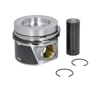 Fits MAHLE 028 PI 00116 000 Piston 028 PI 00116 000 Piston 81,01 (STD ⭐UK Stock⭐