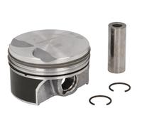 Fits MAHLE 028 PI 00157 002 Piston 028 PI 00157 002 Piston 71,51 (+0, ⭐UK Stock⭐