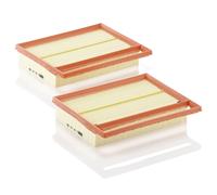 MANN-FILTER C 25 110-2 Air Filter - CARS + TRANSPORTERS