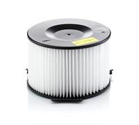 Mann Pollen Filter 507440079