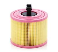 Fits MANN FILTER C 18 114 AIR FILTER DE Stock