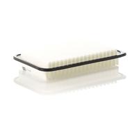 Engine Air Filter Insert MANN C25006