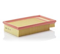 MANN-FILTER C 29 117 Air filter
