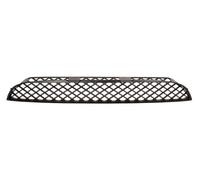 Fits Mercedes Sprinter 06-13 Front Bumper Grille