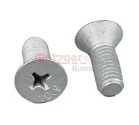 Brake Disc Bolt METZGER Fits MERCEDES NISSAN OPEL RENAULT VW 95-16 93168848