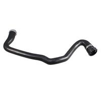 METZGER 2421602 Radiator hose