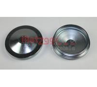 Fits METZGER 9828K CAP, WHEEL BEARING