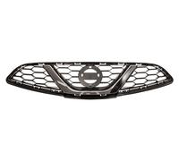 PRASCO DS0152001 Radiator Grille