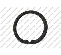 PRASCO MN7041240 Bumper moulding