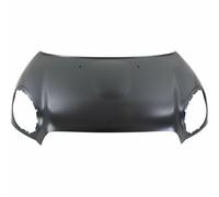Fits MINI COUNTRYMAN Estate COUNTRYMAN/PACEMAN R60/R61 10>16 BONNET 2010-2016