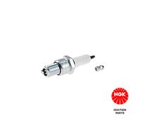 New 3988 NGK Spark Plug For Piaggio Zip 50 2T 1993-2005