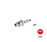 NGK 4200 Spark plug