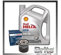 Bosch P7176 Oil Filter