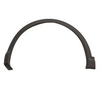 BLIC 5703-08-1617377P Trim / Protective Strip, mudguard