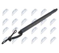 NTY AE-BM-079 Gas Spring, tray (boot / cargo bay)